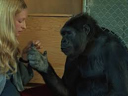 282,050 likes · 117 talking about this. Enlightening Documentaries About Language