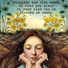 Jody Devlin (jodydevlin)