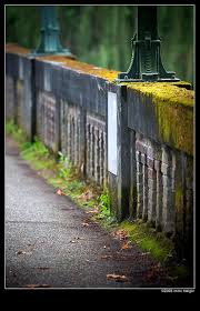 seattle arboretum bridge
