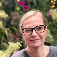 Steve Potash Email & Phone Number