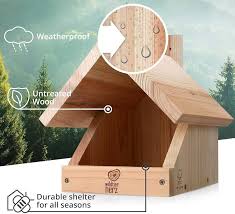 Image result for Flyte Blackbird Nest Box