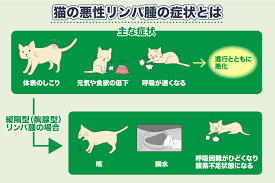 猫 悪性 リンパ腫 完治