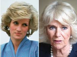 Lý giải nguyên nhân Công nương Diana đã chết hơn 20 năm nhưng vẫn được tôn  sùng, tới mức người thay thế không muốn trở thành Hoàng hậu