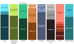 Profile Of Americas Homeless Mekko Graphics