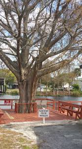 Riverbend Mobile Home & R.V. Park