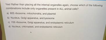 In animal and plant cells, organelles are compartments surrounded by membrane that have a particular function in the cell's life. Yes Rather Than Placing All The Internal Organelles Chegg Com