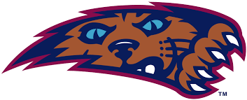 Wildcat Logo Google Search Villanova Wildcats Wild Cats Wildcats Logo