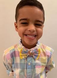 Gators BOW Made Using Licensed Fabric for Pet's Collar/harness, Girl's  Headband/hair Clip/hair Tie, Men's Bow Tie With Football Charm