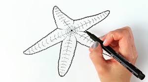 Maybe you would like to learn more about one of these? How To Draw A Starfish Step By Step Youtube