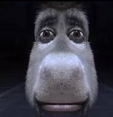 Im getting tired of fake laughing at people.. im just gonna stare at them