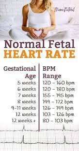 Baby Heartbeat By Week Chart Danabi
