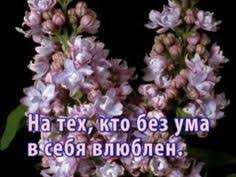песня а я все думаю о ней о ней Takaya Krasivaya Melodiya Chto Ya Plachu Slushaya Shedevr You Can Listen To This Music Forever Youtube Cerkovnaya Muzyka Pesni Muzyka Serdca