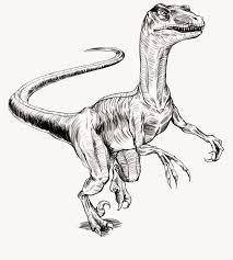 Descubre la mejor forma de comprar online. Shadiah Sketches Velociraptor Tee For Hearthsong Velociraptor Drawing Sketches Dinosaur Art