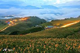 遊記 花蓮縣 玉里鎮赤科山 千噸神龜 三巨石 汪家古厝 萱園居 小台灣 金針大道 富里鄉六十石山 小瑞士觀景台 忘憂亭一覽金針花海 銀河 雲海 琉璃光 雨曝 夕陽斜射光 日出火燒雲美景 交通 租機車 住宿 火車 拍攝地圖 拍攝點 即時花況 即時影像