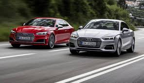 Image result for Stein Grey 2017 A5