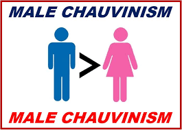 How to use chauvinism in a sentence. What Is Male Chauvinism Definition And Examples