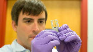 Patricia Parker Archives