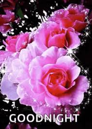 Image result for tbn:ANd9GcQzWo5lBIPWKebvy1oRkgh5c-dE8XiN3VXZR7m1YtZmdakAs_N-Mhco6w:http://www.cqham.ru/flower.gif