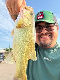 The Hefner special, caught these yesterday.