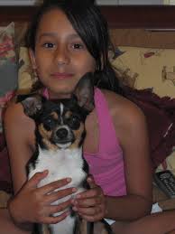 missing dog in jimbaran needs urgent help