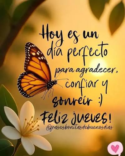 Frases De Buenos Días Feliz Jueves | TikTok