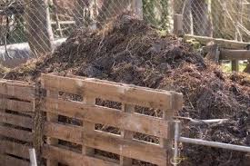 Blend it with potting soil to revitalize indoor plants; Benefits Of Compost Learn About The Advantages Of Using Compost