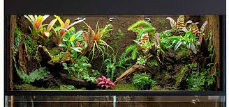 Paludarium Construction Tips Tropical Fish Hobbyist Magazine