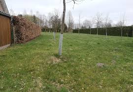 Für manche ist der gesang purer lärm. Wildtiere Im Garten Vermeiden Diese Massnahmen Wirken Der Pflanzen Blog Nr 01 De In Europa