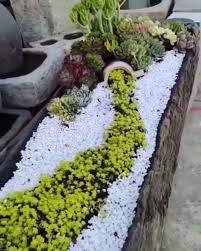 Alida Abreu (aleidaabreu54)