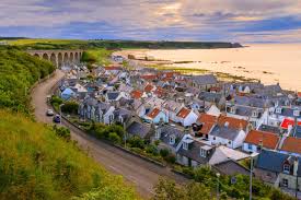 Image result for Cullen