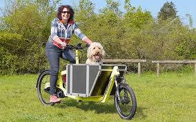 Familien Und Lasten E Bike Schmidt Pedelec Nurnberg