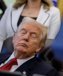 Dawn parks (@DawnparksDawn)