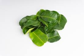 Magroot, bergamot, சுண்ணாம்பு, kaffir lime, lime leaves, curry leaves. Purut Stock Photos And Images 123rf