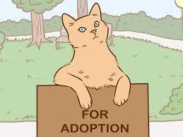 My question is if you think it would be a bad idea to not get a companion? 3 Ways To Referee Two Irritable Cats That Don T Get Along