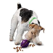 Busy Buddy Twist N Treat Dog Toys Small Dog Toys Dog Enrichment