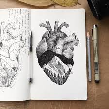 Alfred Basha On Instagram One May Walk Over The Highest Mountain One Step At A Time Karalama Defteri Fikirleri Cizimler Cizilecek Seyler