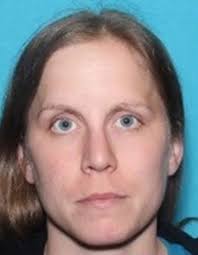 Child, 6, abducted in Downingtown