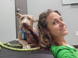 Hello, this is Boe. I am trying to help my mom urgently rehome him. He is  about 3 years old, neutered, has had his shots ( but we don't have his past