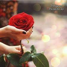 Pin By Mahfooz On Hand Dp Beautiful Rose Flowers Beautiful Roses Hand Flowers