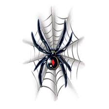 See more ideas about spider tattoo, black widow tattoo, tattoos. Black Widow Temporary Tattoo Goimprints