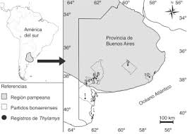 Villarino partido — infobox partido argentina name= villarino official name= partido de villarino coat of arms= sin escudo.svg location= location of villarino partido in buenos aires province capital. Mapa De La Distribucion Geografica De Thylamys En La Region Pampeana De Download Scientific Diagram