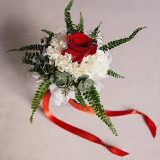 Buy a carnation bouquet online from bloomsvilla to apologize to a person you care for. Carnation Flowers Hgtv