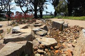 Established Dry Creek Bed Dry Creek Creek Bed Australian Native Garden