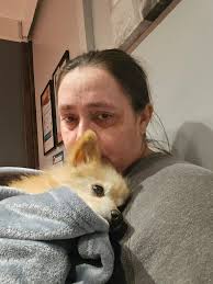 Support for Loss of a Beloved Pet