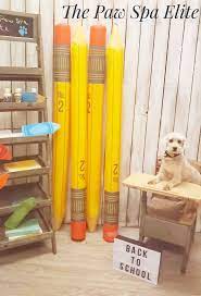 Back To School Dog Grooming At The Paw Spa Elite Mini Doodle Dog Grooming Back To School