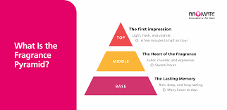 Inside the Fragrance Pyramid: How Top, Middle & Base Notes ...
