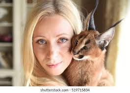 2+ Hundred Savannah Blonde Royalty-Free Images, Stock Photos & Pictures