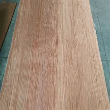 Image result for Berlinia