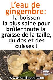 N'hésitez pas à nous indiquer en commentaire de cet article vos meilleures recettes à base de gingembre, pour que nos abonnés puissent trouver de nouvelles idées, pour leur permettre de maigrir plus facilement. L Eau De Gingembre La Boisson La Plus Saine Pour Bruler Toute La Graisse De La Taille Du Dos Et Des Cuisses Coconut Health Benefits Health Tomato Nutrition