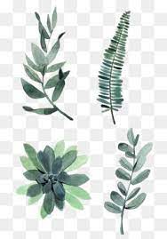 Watercolor Leaves Png Images Vector And Psd Files Free Download On Pngtree Free Watercolor Flowers Flower Drawing Watercolor Leaves